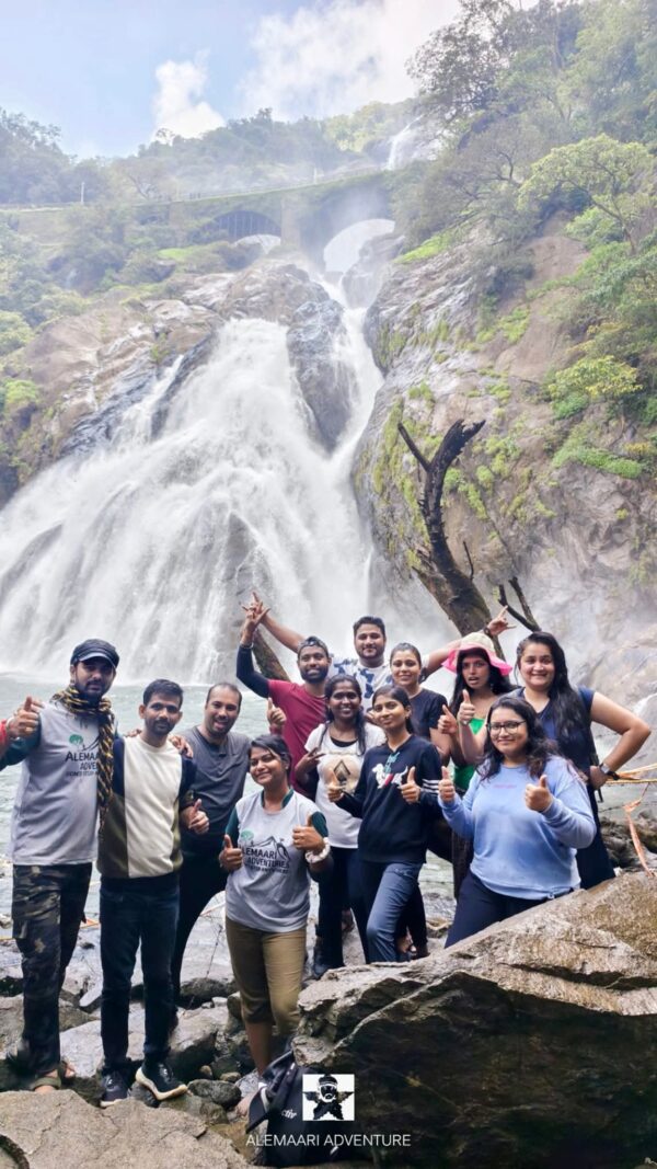 Dudhsagar Water Falls Trek - Image 7