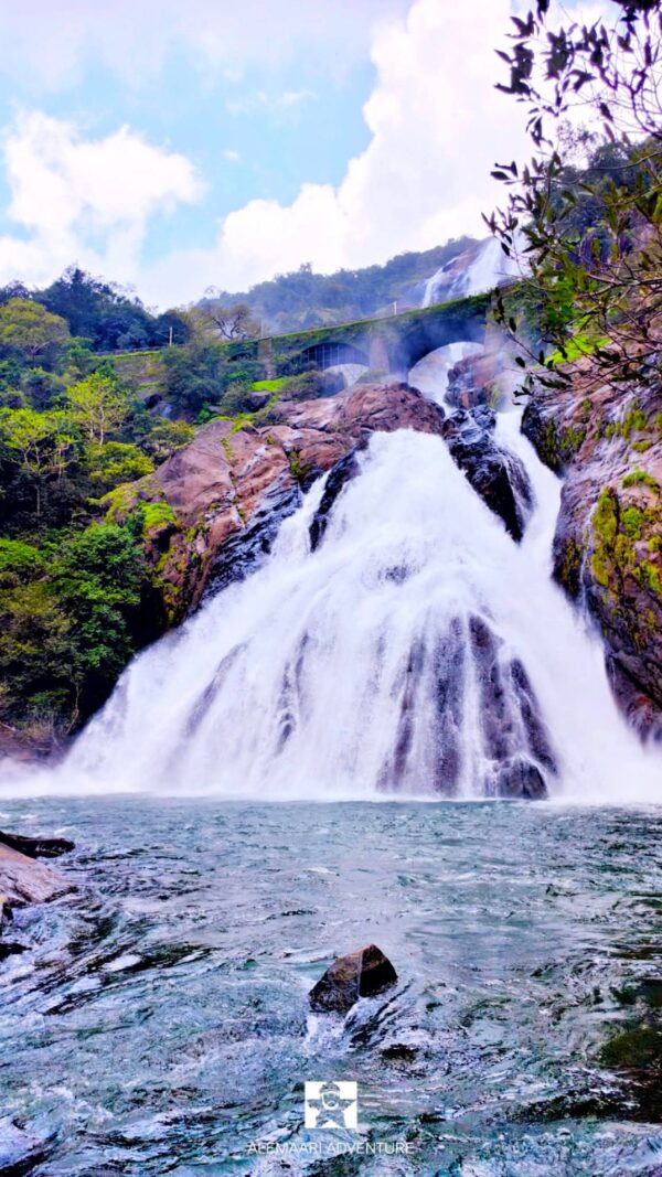 Dudhsagar Water Falls Trek - Image 4