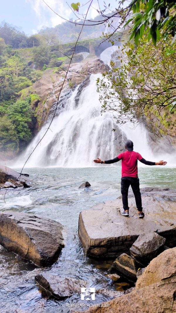 Dudhsagar Water Falls Trek - Image 10