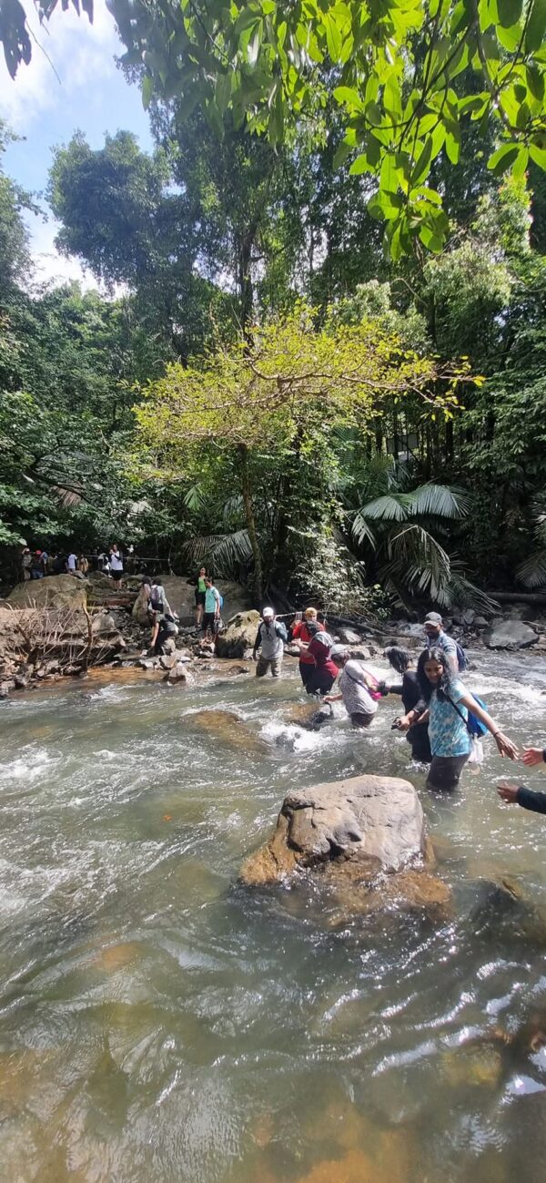 Dudhsagar Water Falls Trek - Image 15