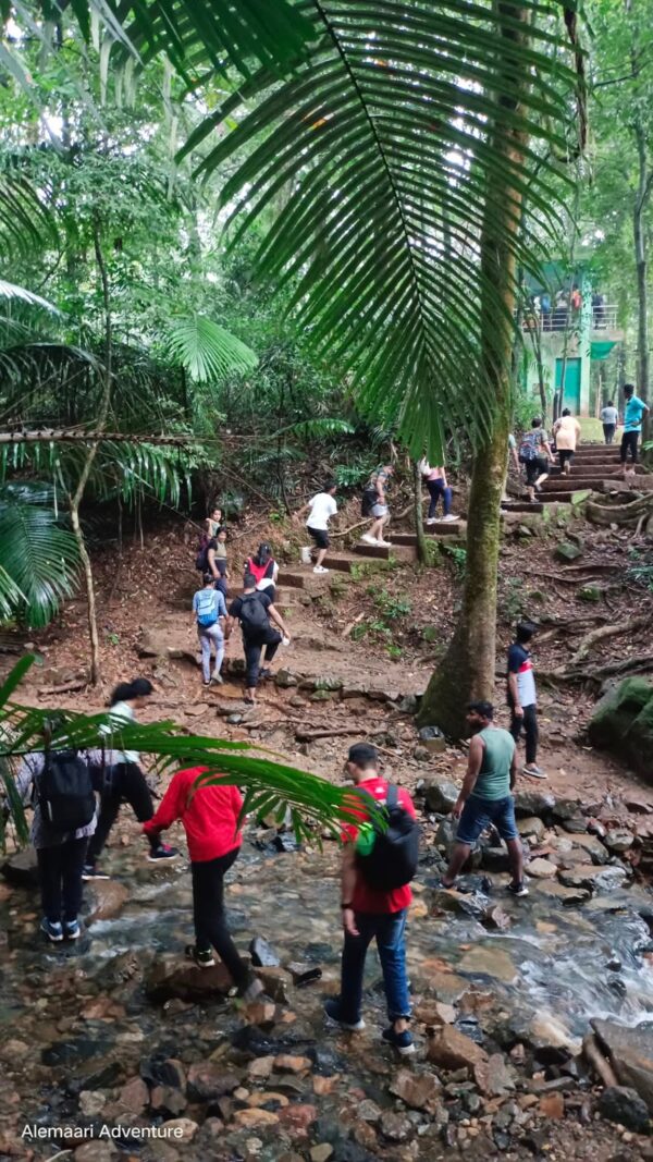Dudhsagar Water Falls Trek - Image 14