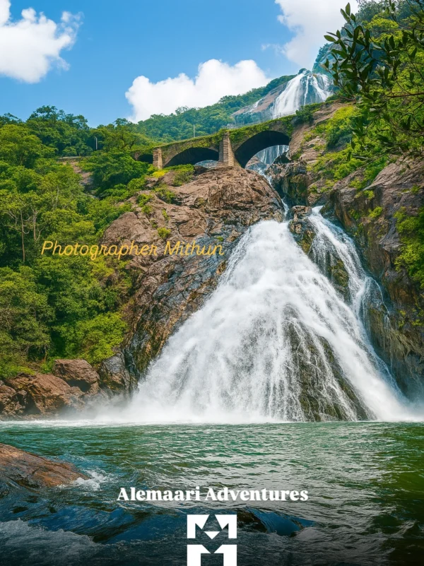Dudhsagar Water Falls Trek - Image 2