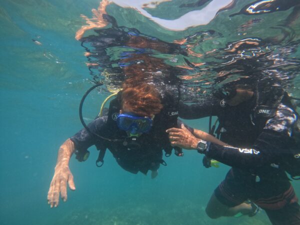 Andaman Tour Trip 2025 - Image 6