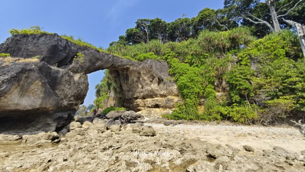Andaman Tour Trip 2025 - Image 10